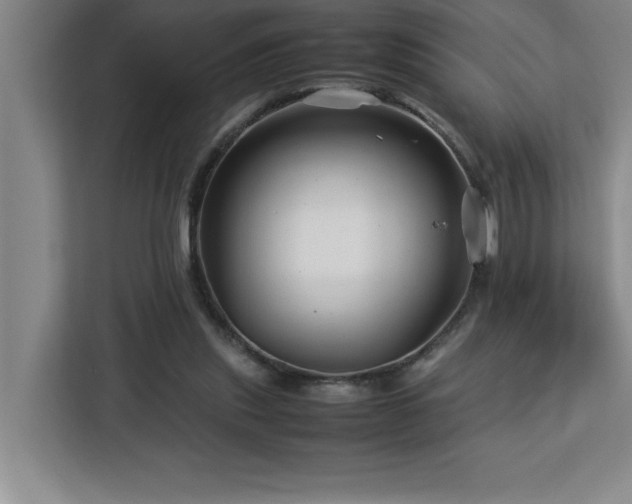 X0000113090253200908281249