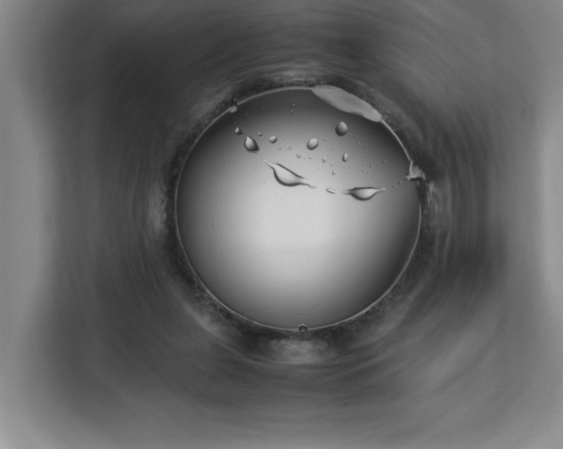 X0000113090255200908281249
