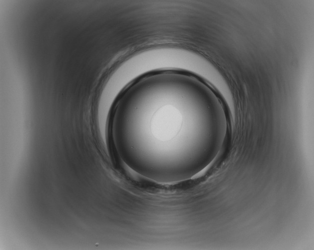 X0000113090256200908281249