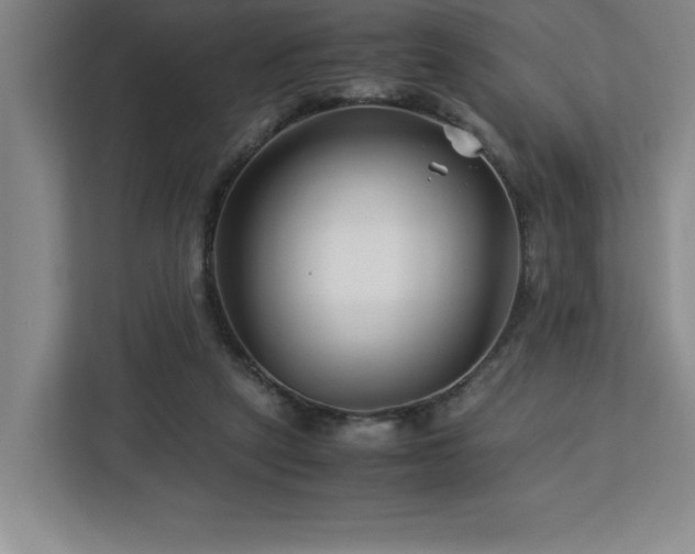 X0000113090257200908281249