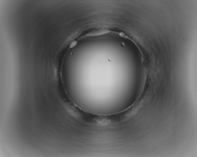 X0000113090258200908281249
