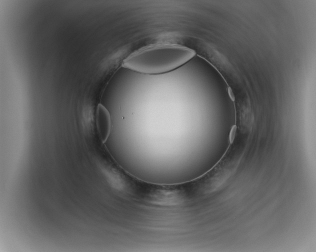 X0000113090260200908281249