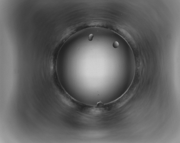X0000113090261200908281249