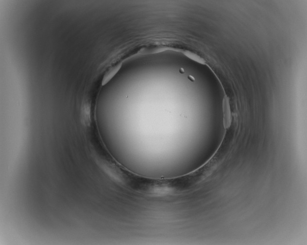 X0000113090262200908281249