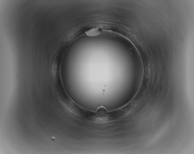 X0000113090263200908281249