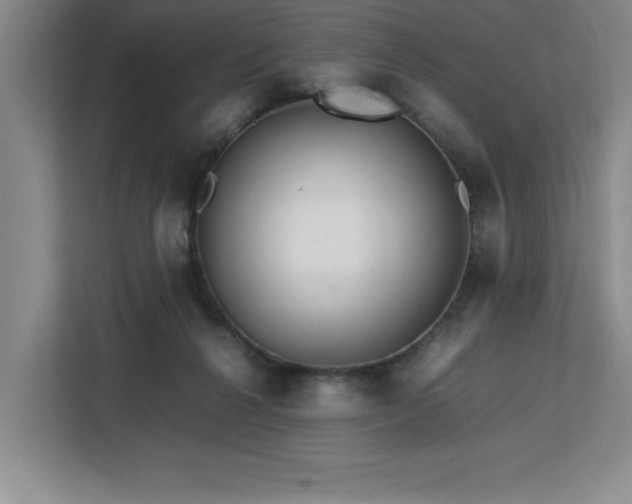 X0000113090264200908281249
