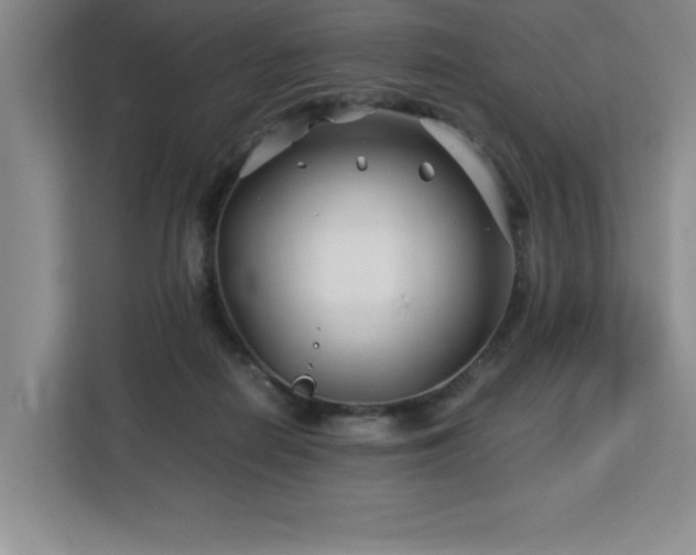 X0000113090266200908281249