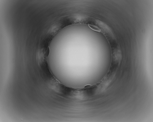X0000113090276200908281249