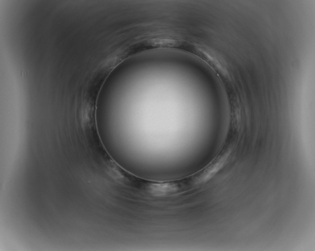 X0000113090281200908281249