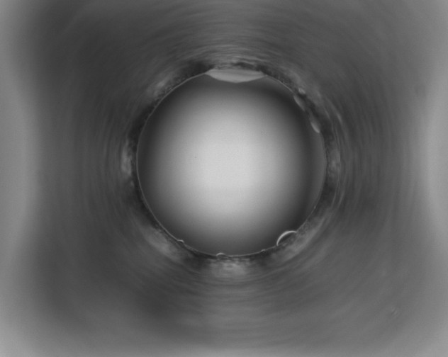 X0000113090282200908281249