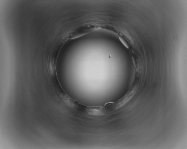 X0000113090285200908281249