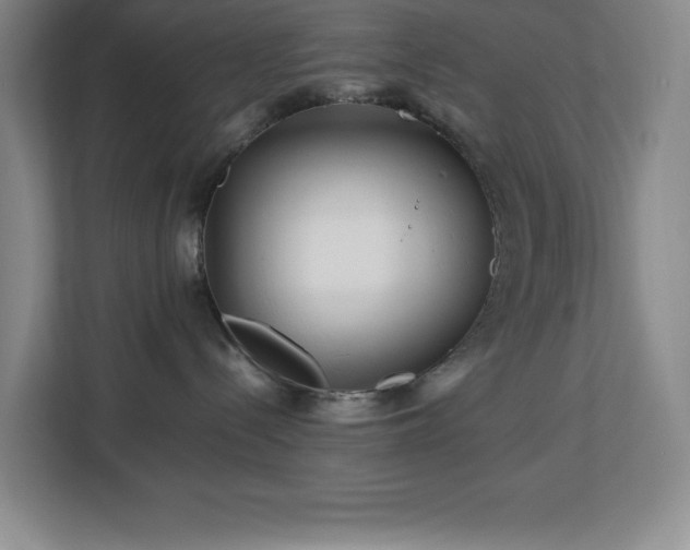 X0000113090288200908281249
