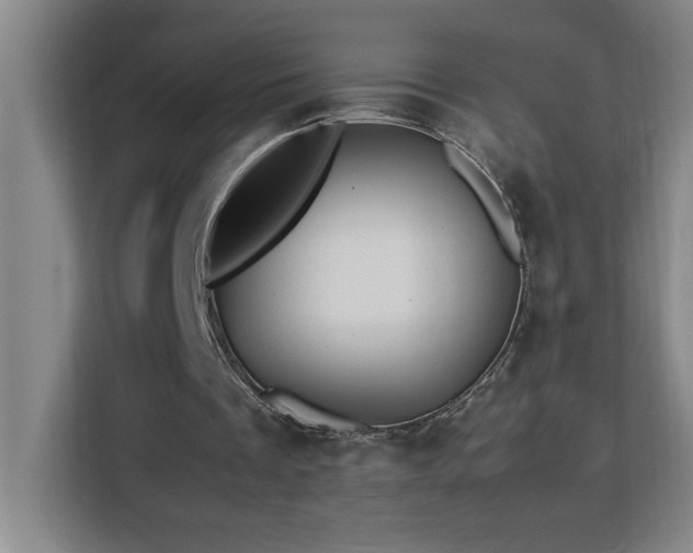 X0000113090289200908281249