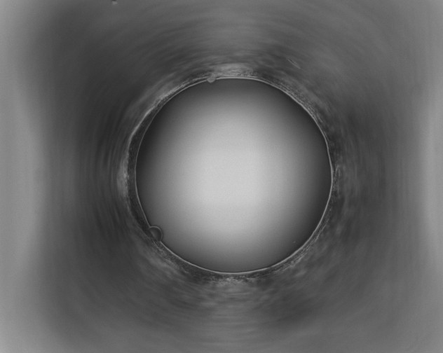X0000113090290200908281249