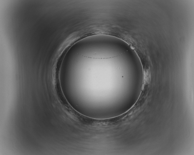 X0000113090291200908281249