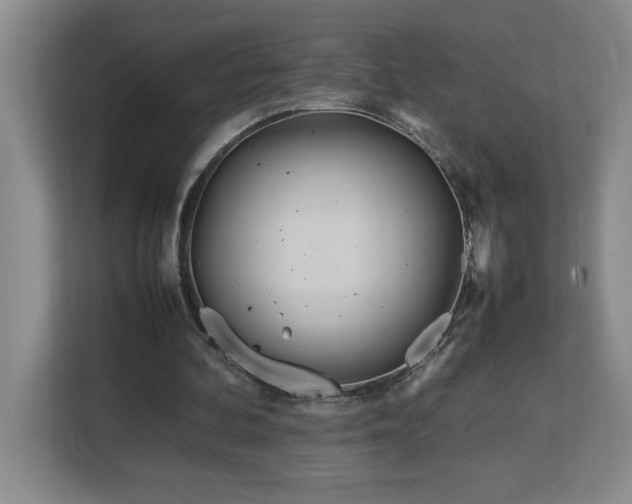 X0000113090292200908281249