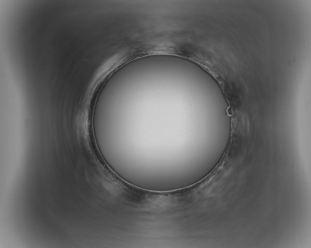 X0000113090293200908281249