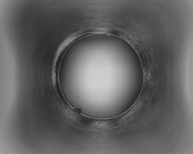 X0000113090294200908281249