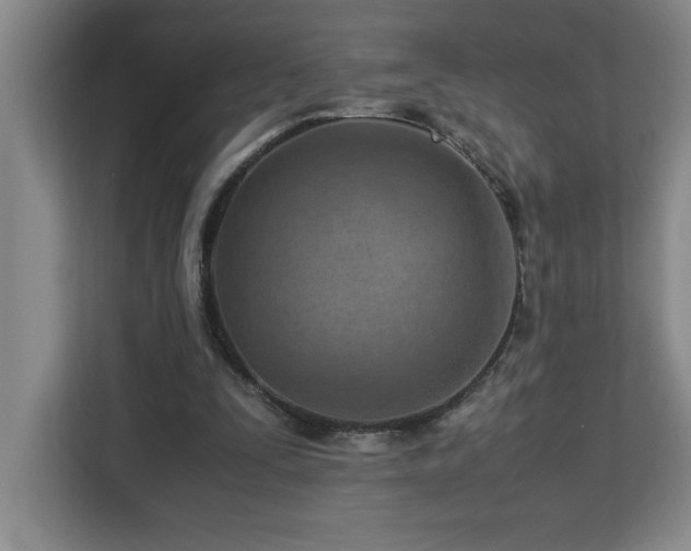 X0000113090295200908281249