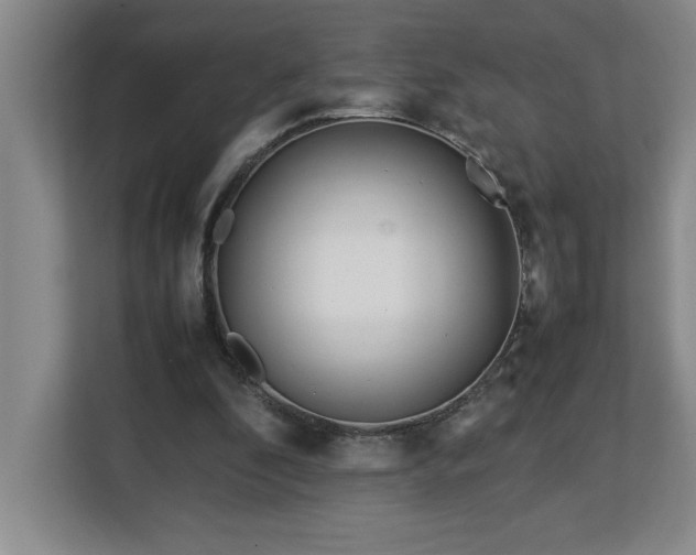 X0000113090296200908281249