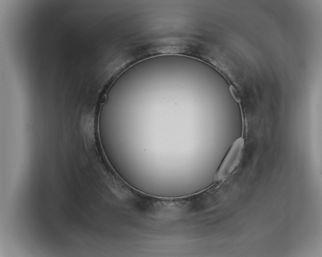 X0000113090297200908281249