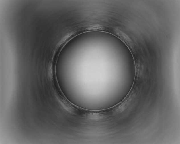 X0000113090298200908281249