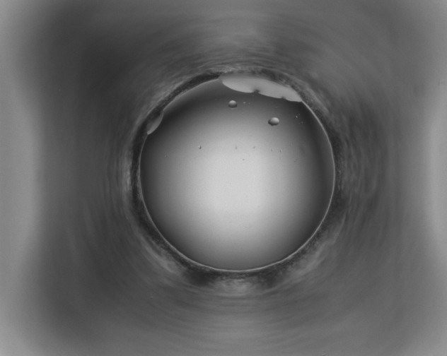 X0000113090299200908281249