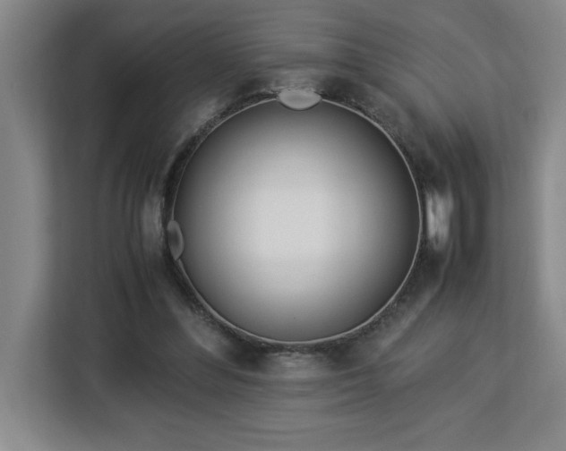 X0000113090300200908281249