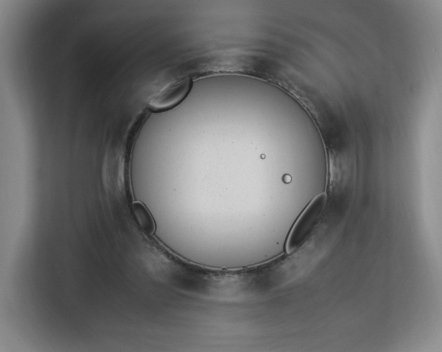 X0000113090301200908281249