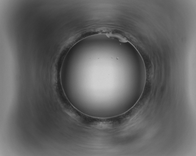 X0000113090303200908281249
