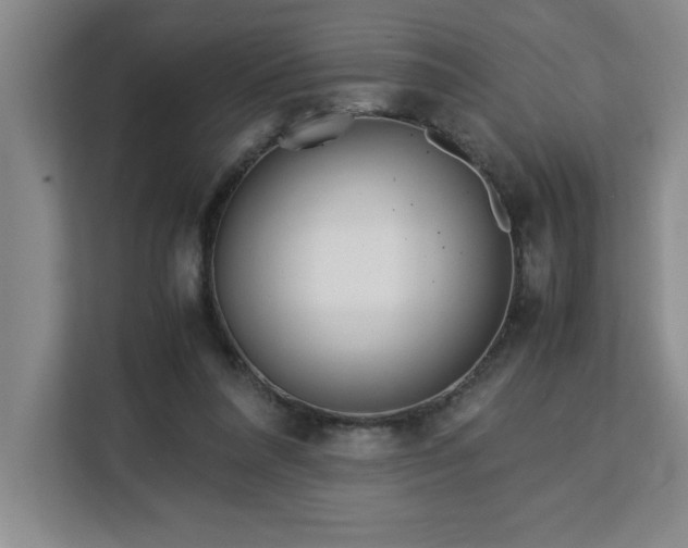 X0000113090304200908281249