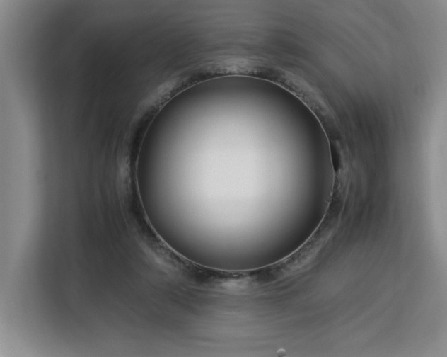 X0000113090306200908281249