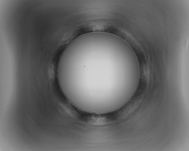 X0000113090311200908281248