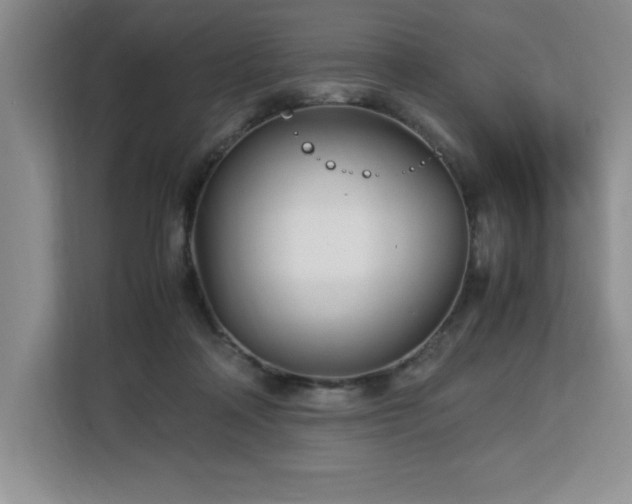X0000113090314200908281248