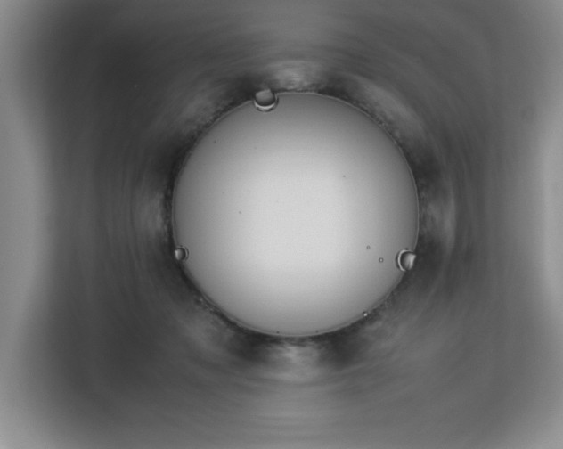 X0000113090317200908281248