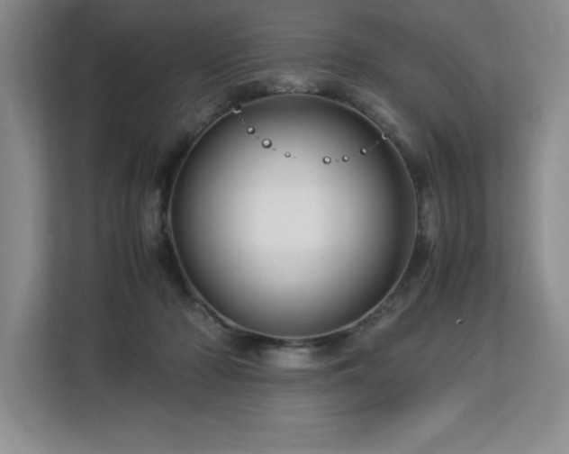 X0000113090318200908281248