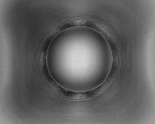 X0000113090319200908281248