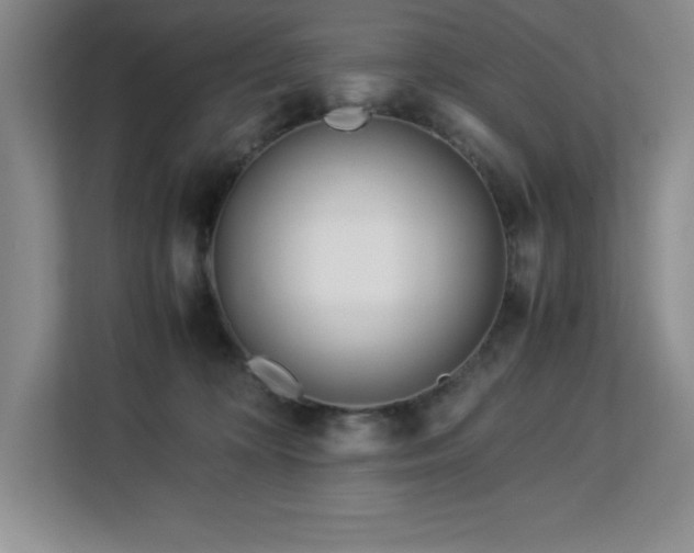 X0000113090324200908281248