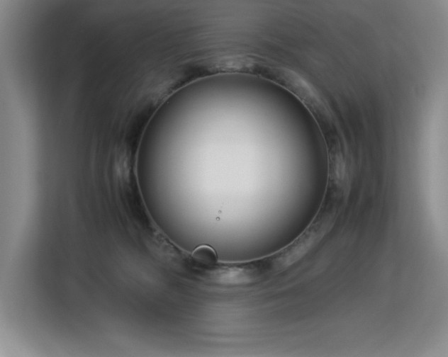 X0000113090326200908281248