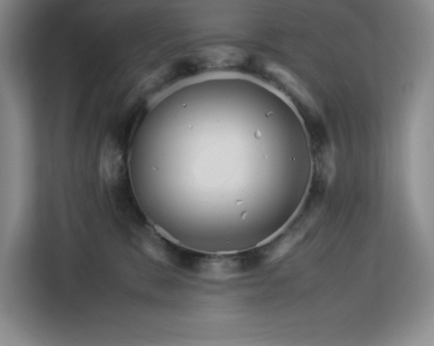 X0000113090327200908281248