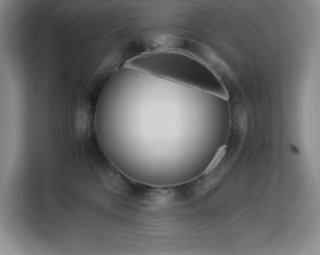 X0000113090328200908281248