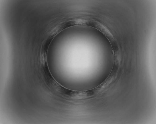 X0000113090329200908281248