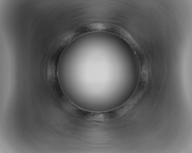 X0000113090330200908281248