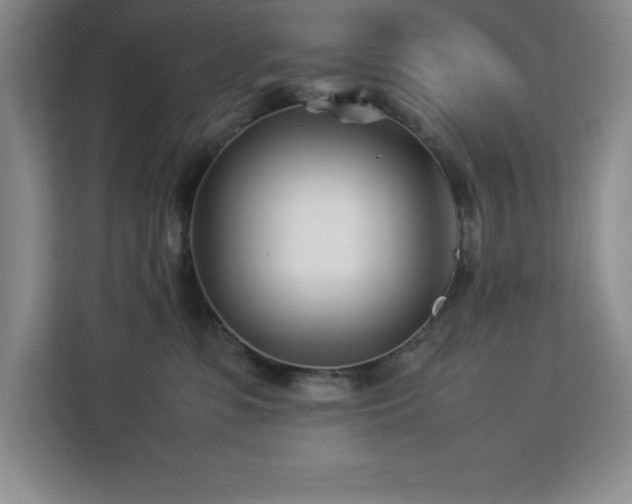 X0000113090331200908281248