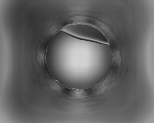 X0000113090333200908281248