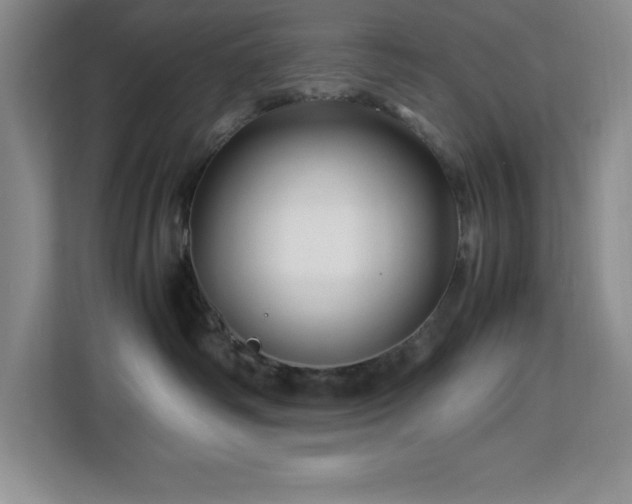 X0000113090334200908281248
