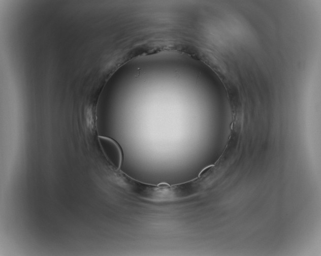 X0000113090335200908281248