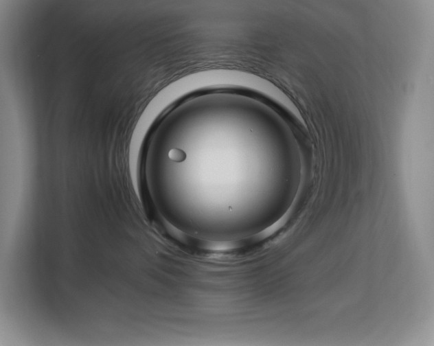 X0000113090336200908281248
