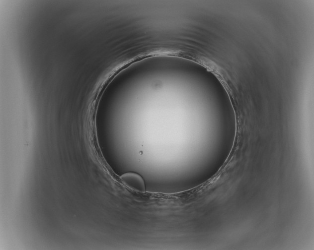 X0000113090337200908281248