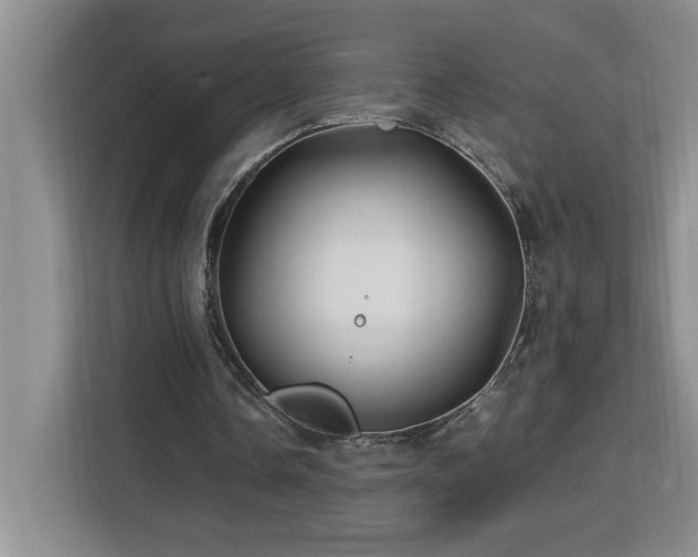 X0000113090338200908281248